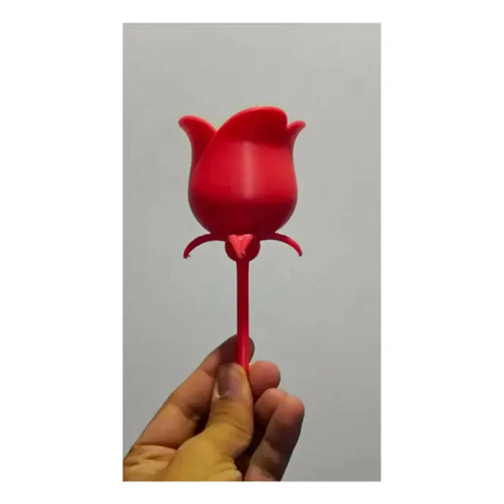Rosa Para Regalo De San Valentín 2