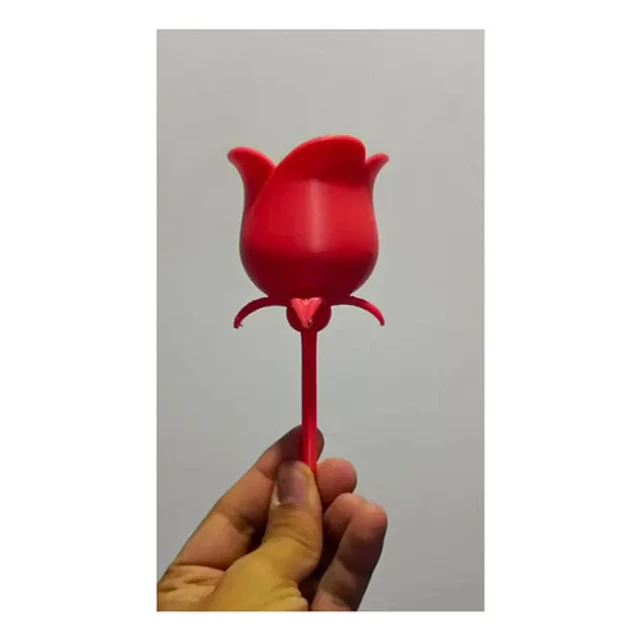 Rosa Para Regalo De San Valentín