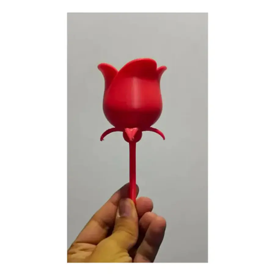 Rosa Para Regalo De San Valentín