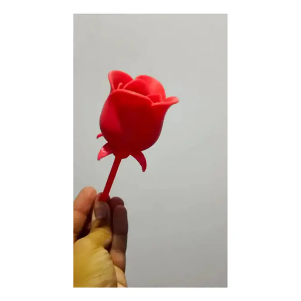 Rosa Para Regalo De San Valentín 3