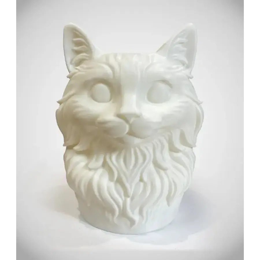 Portalápices De Gato Serio