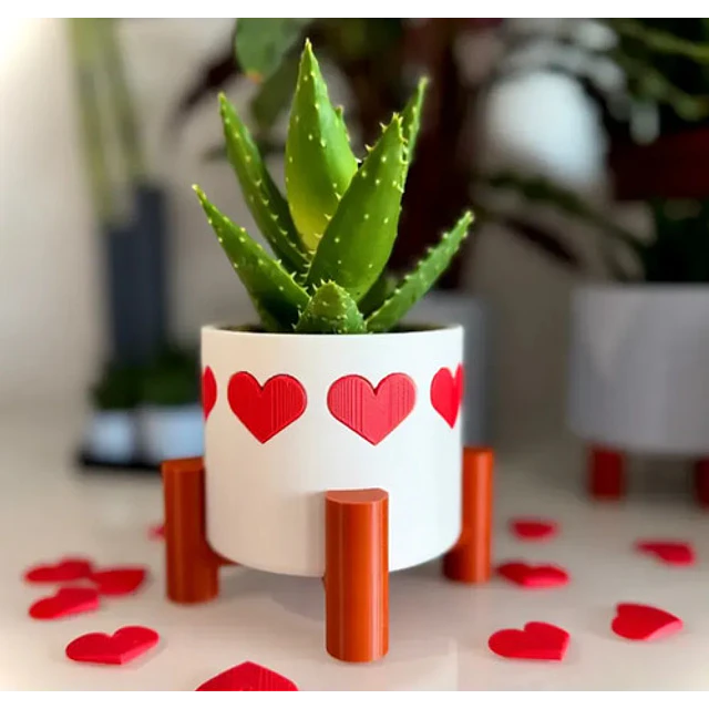 Maceta De Corazones - San Valentín