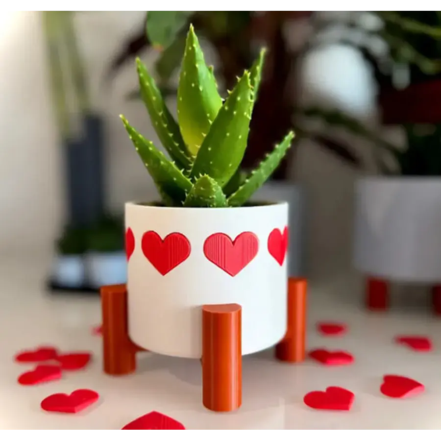 Maceta De Corazones - San Valentín