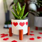 Maceta De Corazones - San Valentín - Miniatura 2