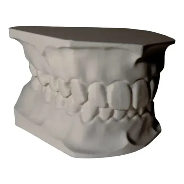 Figura Decorativa De Modelo Dental