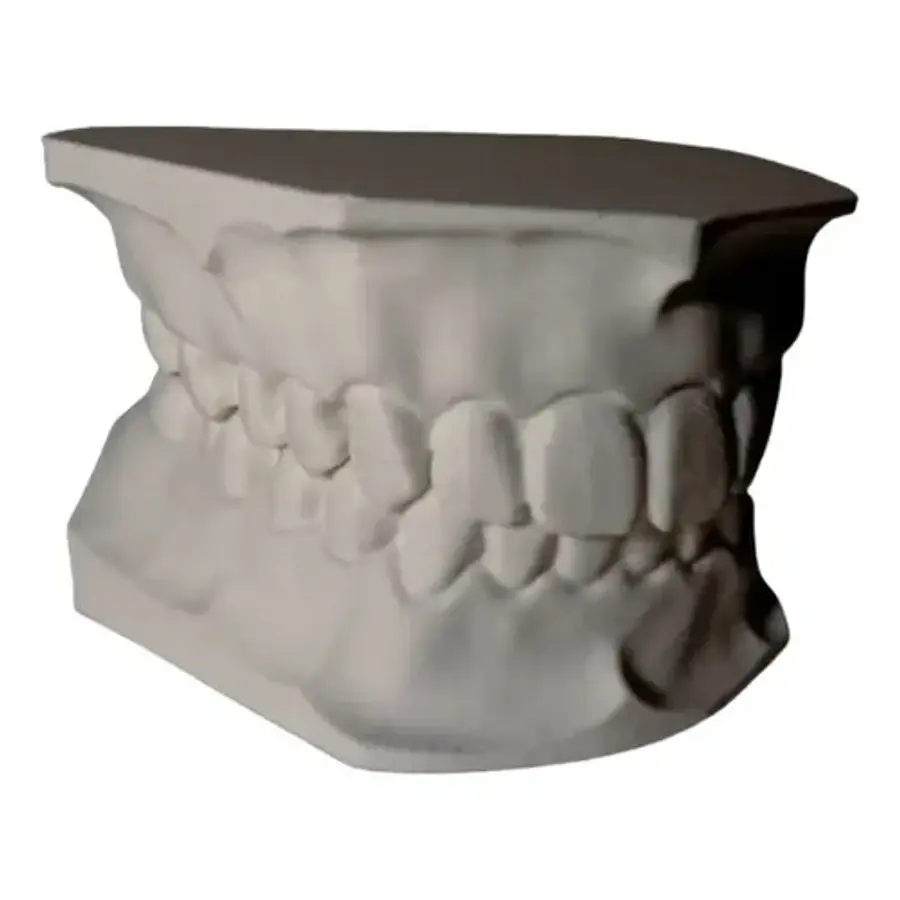 Figura Decorativa De Modelo Dental