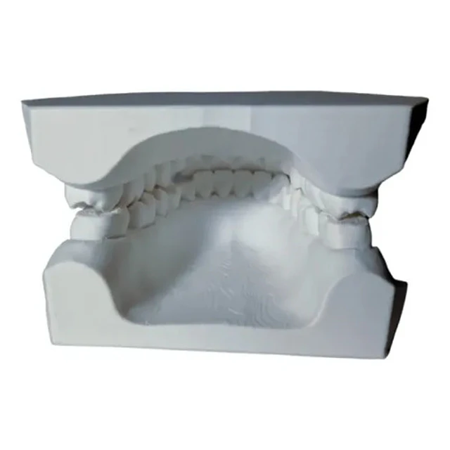 Figura Decorativa De Modelo Dental