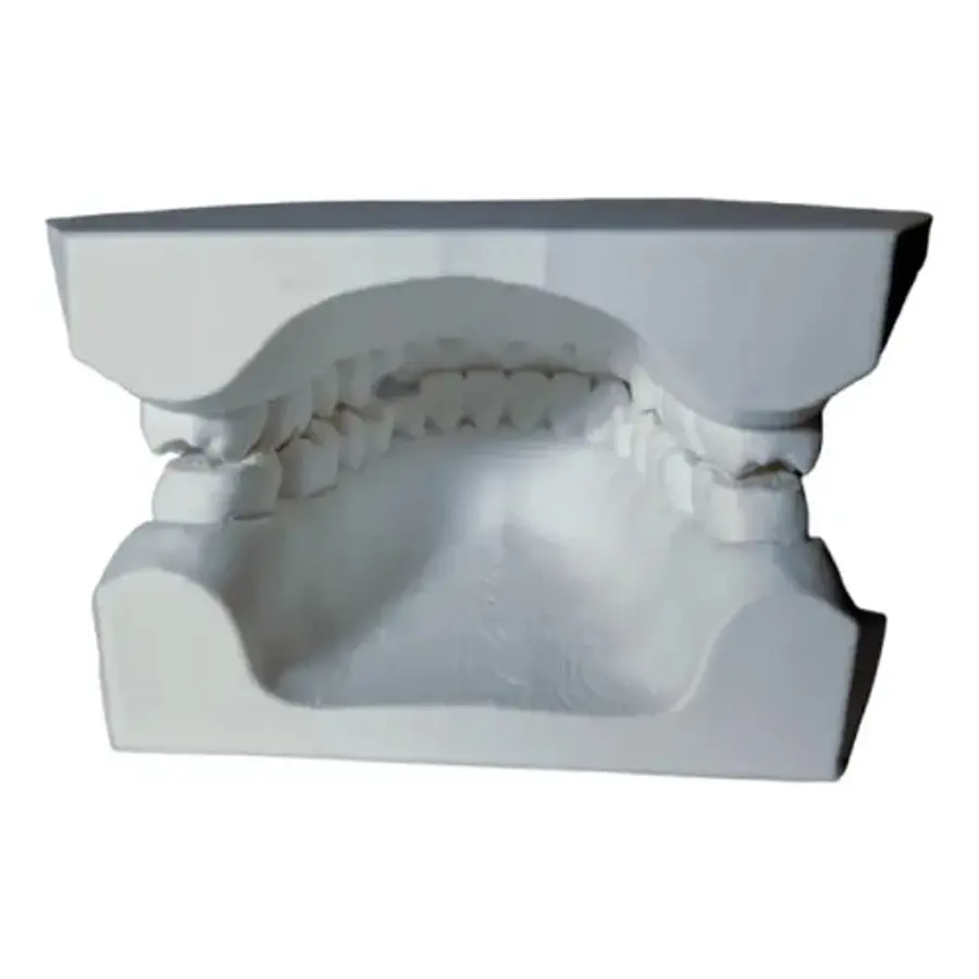 Figura Decorativa De Modelo Dental
