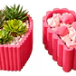 Maceteros Corazones Minimalistas (pack 2 Un) - Miniatura 1