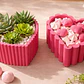 Maceteros Corazones Minimalistas (pack 2 Un) - Miniatura 2