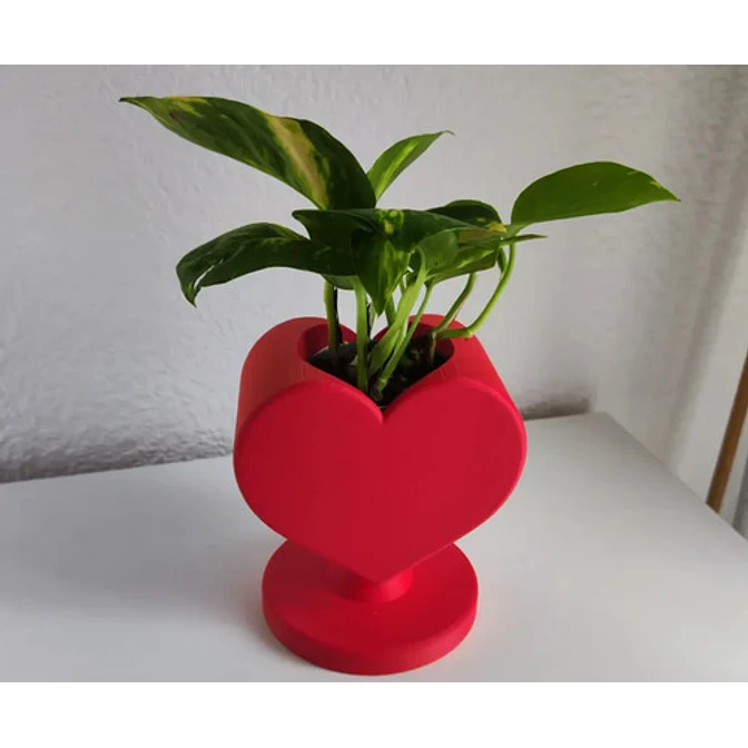 Macetero En Forma De Corazón 2