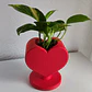 Macetero En Forma De Corazón - Miniatura 2