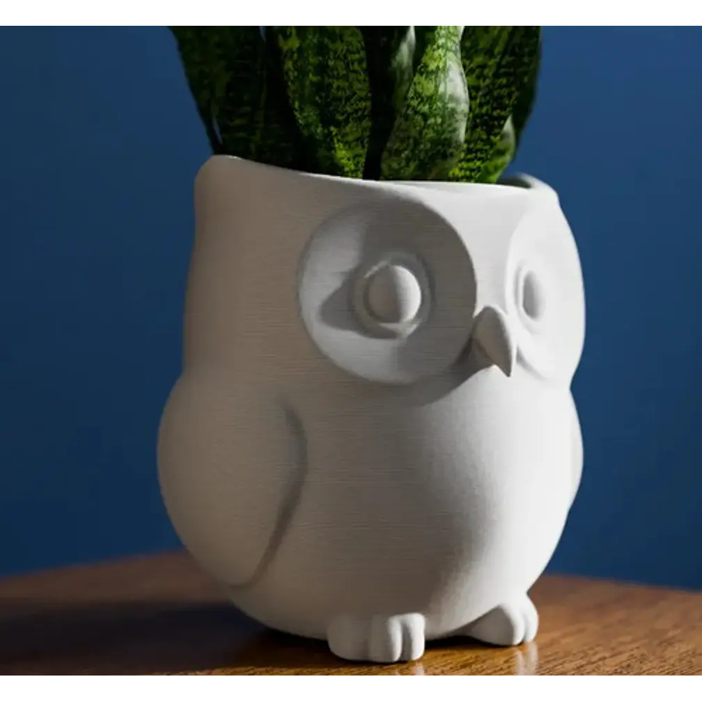Macetero Con Forma De Búho 5
