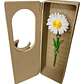Caja De Flores- San Valentín - Miniatura 1