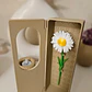 Caja De Flores- San Valentín - Miniatura 3