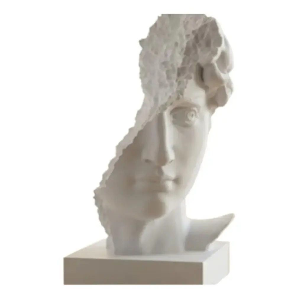 Escultura- Busto De David Arruinado 1