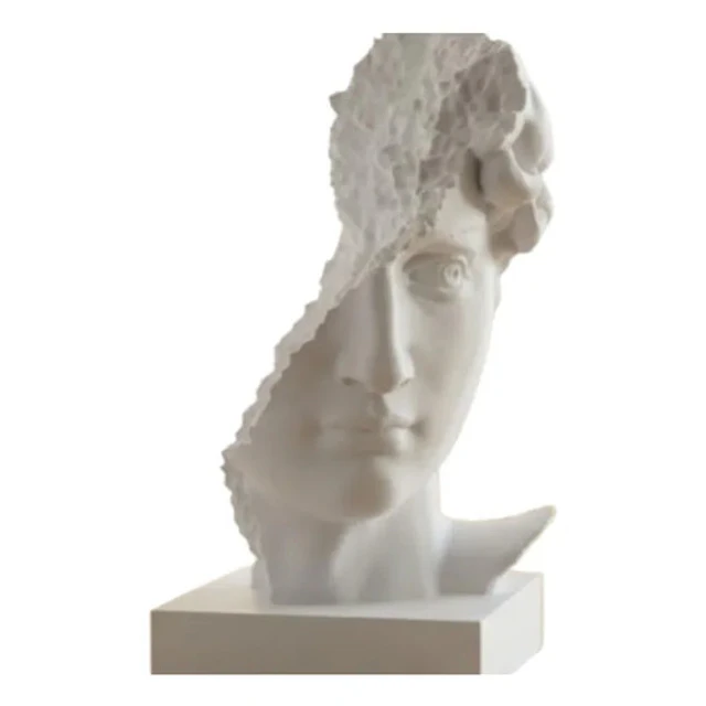 Escultura- Busto De David Arruinado