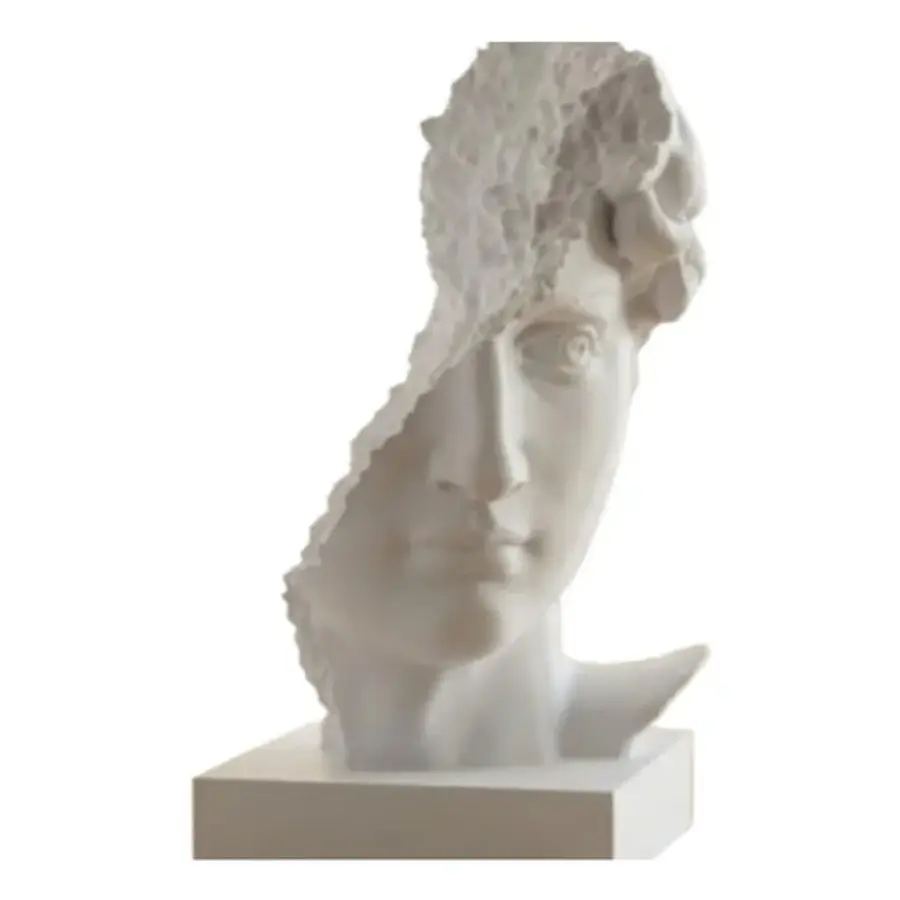Escultura- Busto De David Arruinado