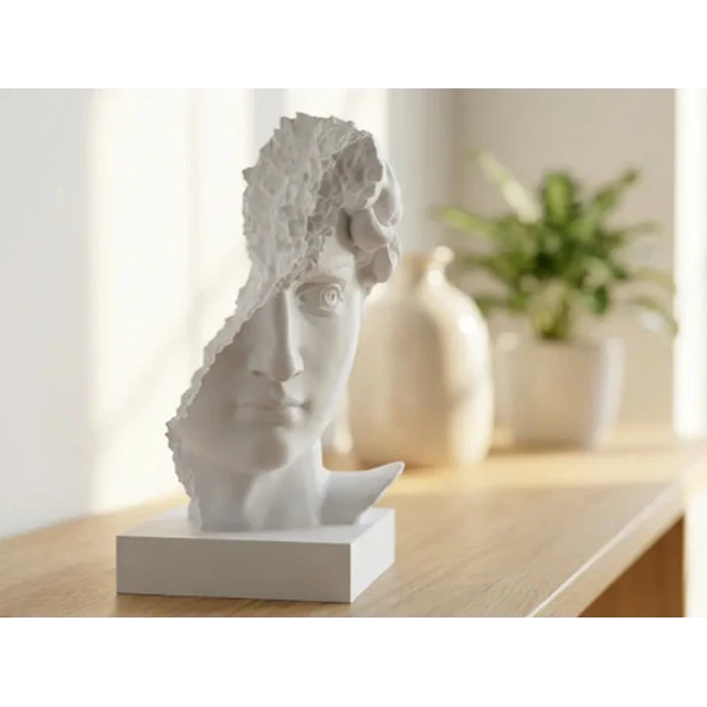 Escultura- Busto De David Arruinado