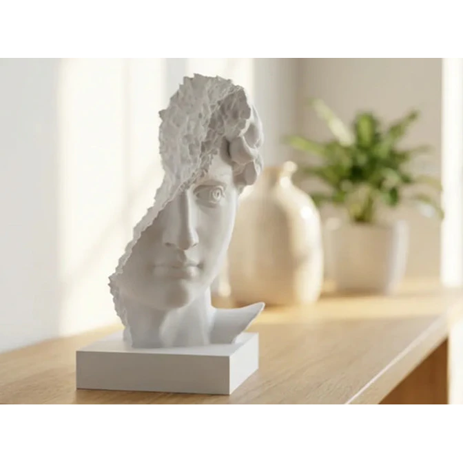 Escultura- Busto De David Arruinado 2