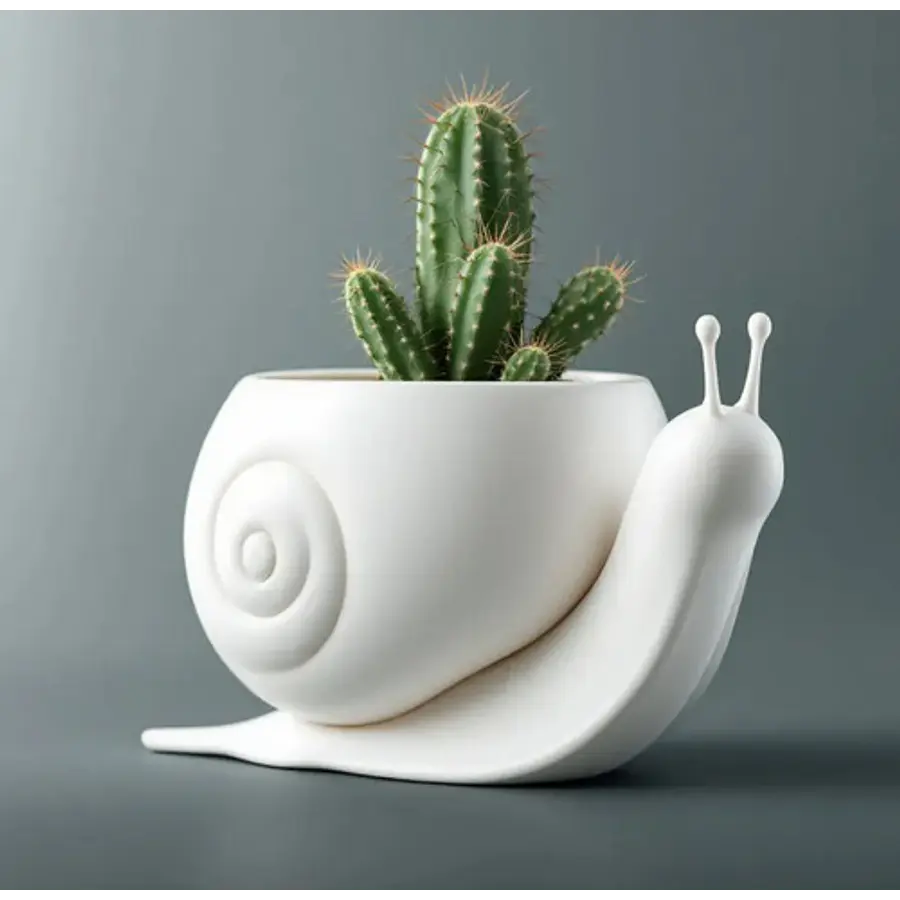 Macetero Decorativo - Caracol