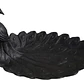 Bandeja Decorativa- Plumas De Pavo Real - Miniatura 1