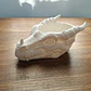 Bowl- Cabeza De Dragón Furioso - Miniatura 2