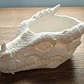 Bowl- Cabeza De Dragón Furioso - Miniatura 4