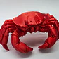 Figura Decorativa - Cangrejo Realista - Miniatura 5