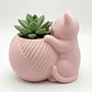 Macetero Redondo - Figura Gato - Miniatura 2