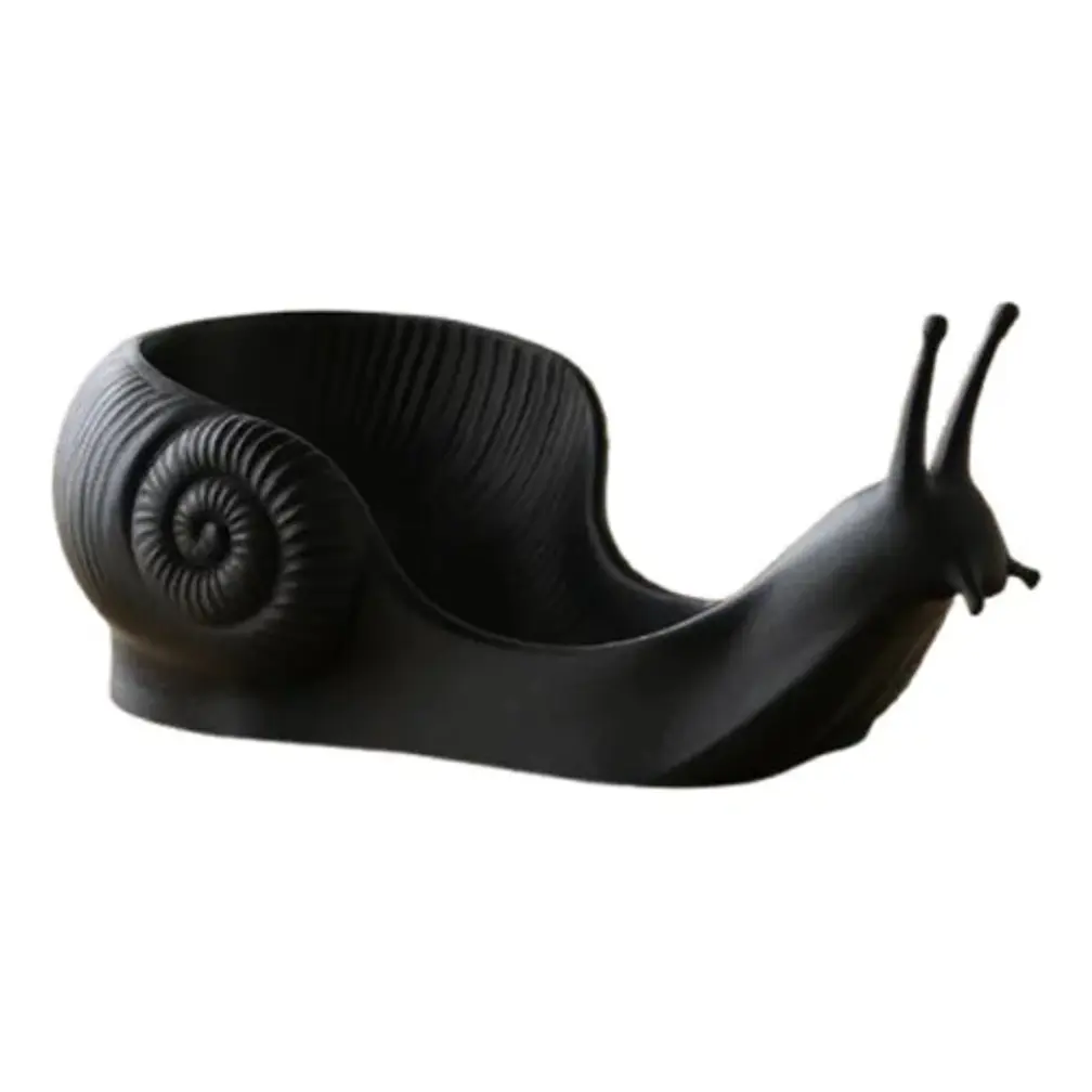 Bowl Minimalista De Caracol 1