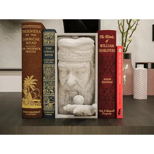Rincón De Libros - Dumbledore