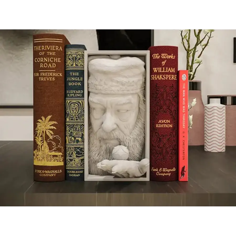 Rincón De Libros - Dumbledore