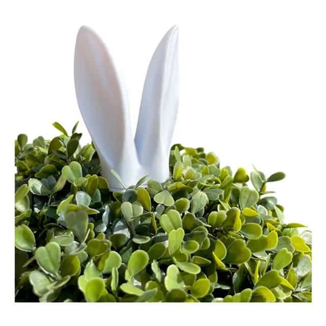 Decoración De Plantas - Orejas De Conejo