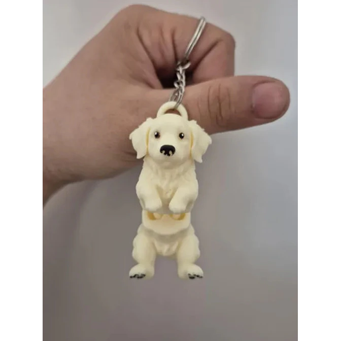Llavero De Golden Retriever 4