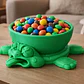 Cuenco De Tortuga Aplastada - Miniatura 2