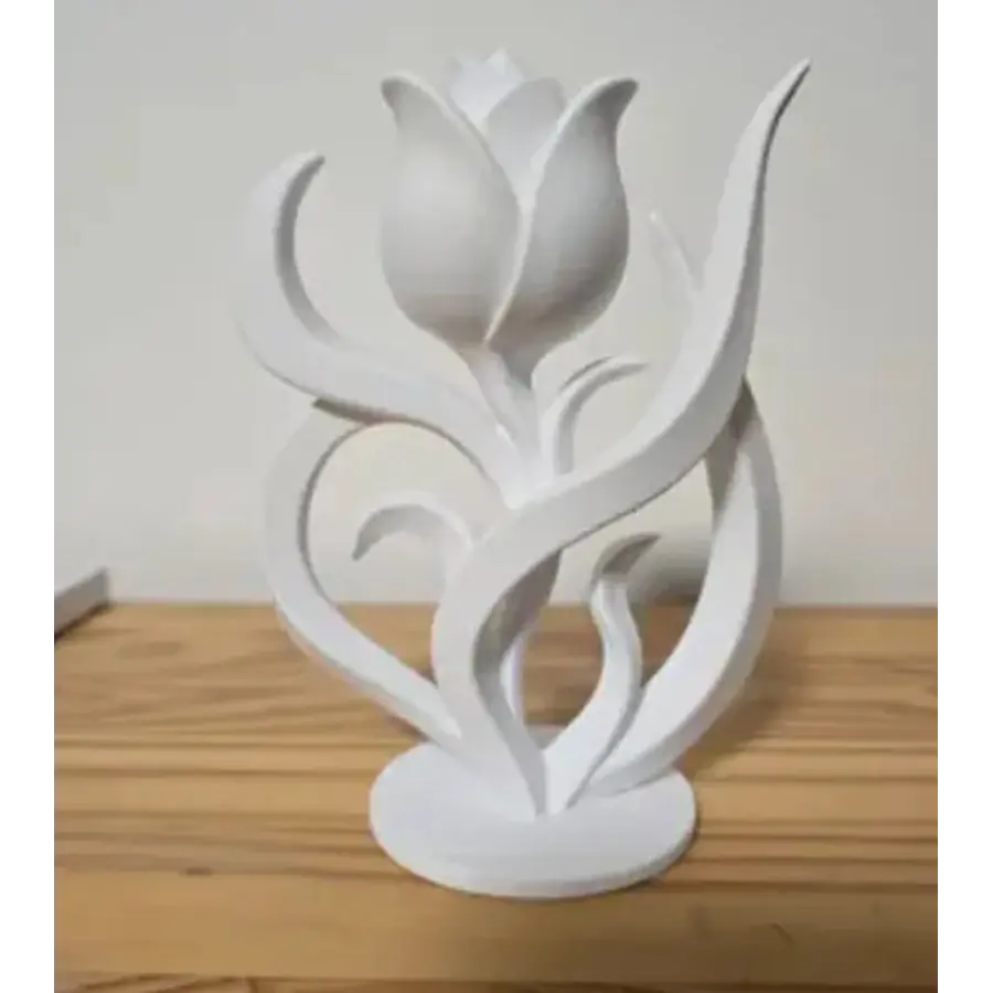 Figura Abstracta Y Elegante De Tulipán