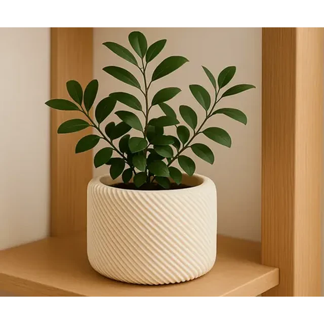Macetero Con Diseño Ecológico
