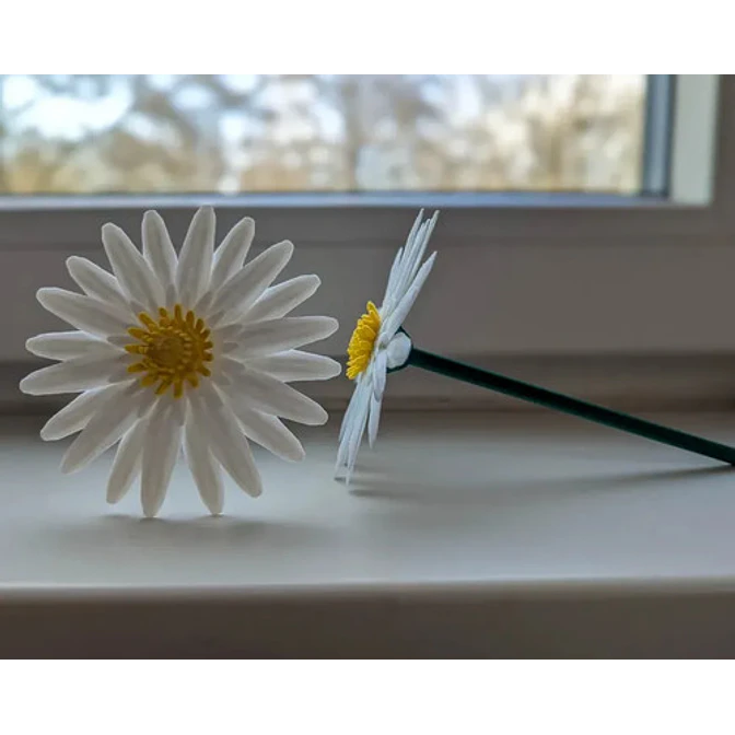 Figura De Margaritas | Flores Modulares 1