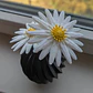 Figura De Margaritas | Flores Modulares - Miniatura 2