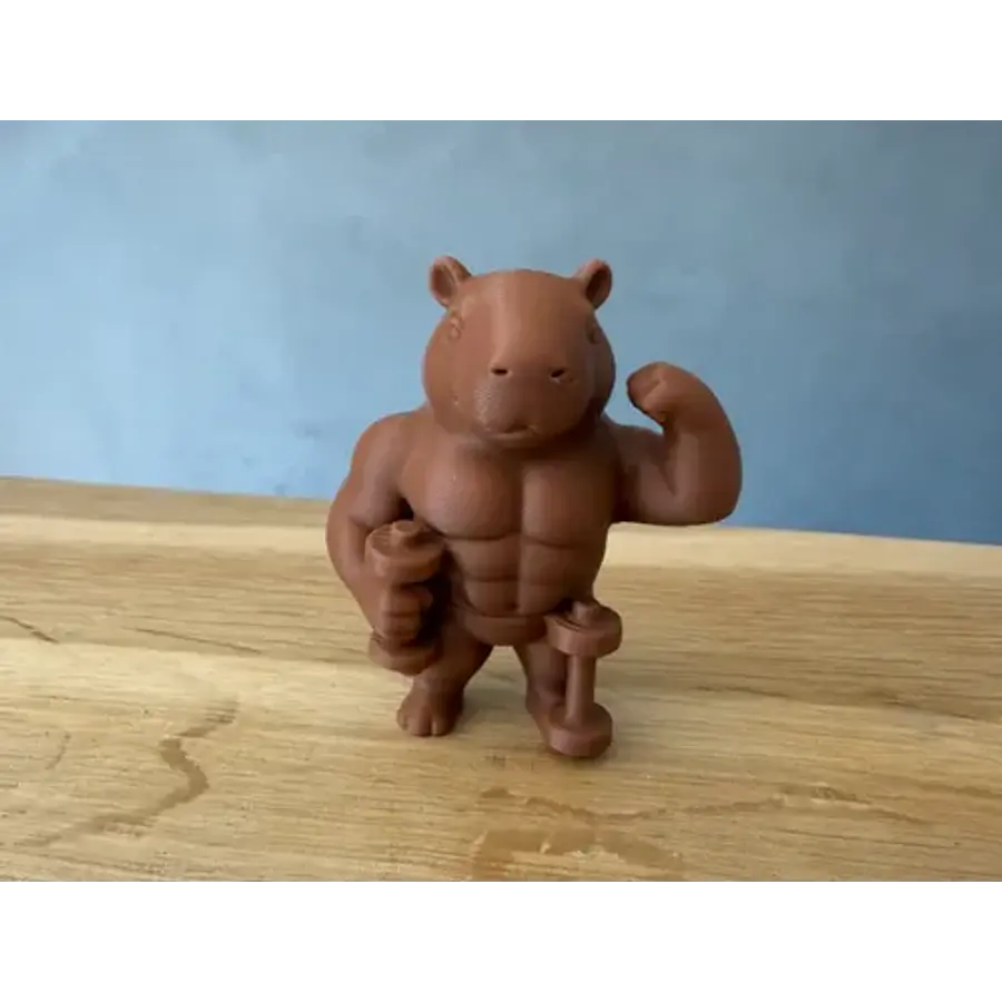 Figura Decorativa- Capibara Musculoso
