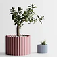Figura Decorativa Maceta De Plantas Moderna - Miniatura 1