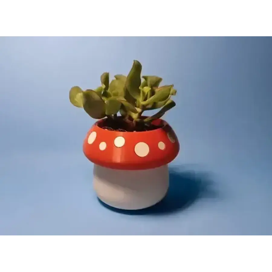Mini Maceta - Honguito