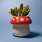 Mini Maceta - Honguito - Miniatura 2