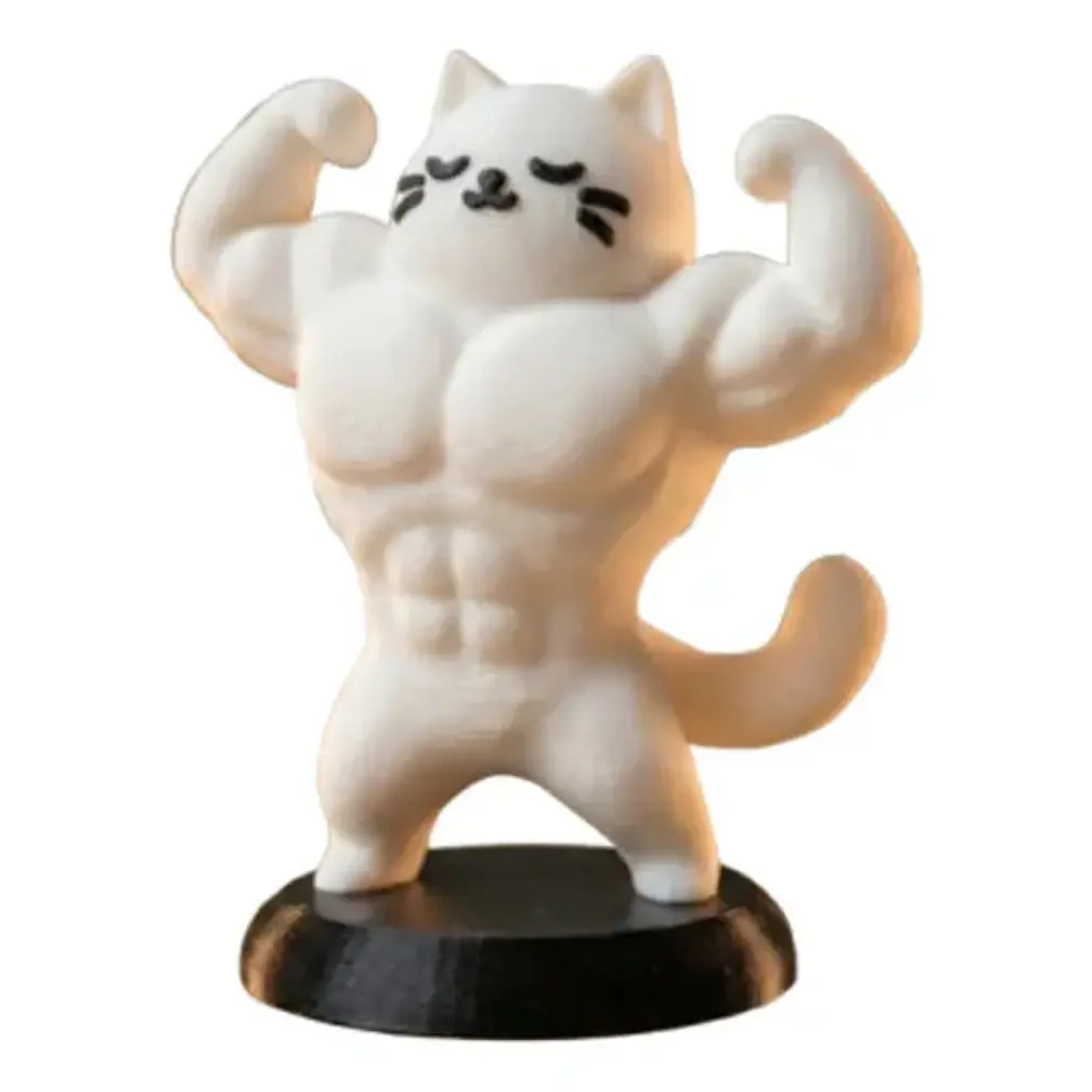 Figura Decorativa- Gato Culturista 4