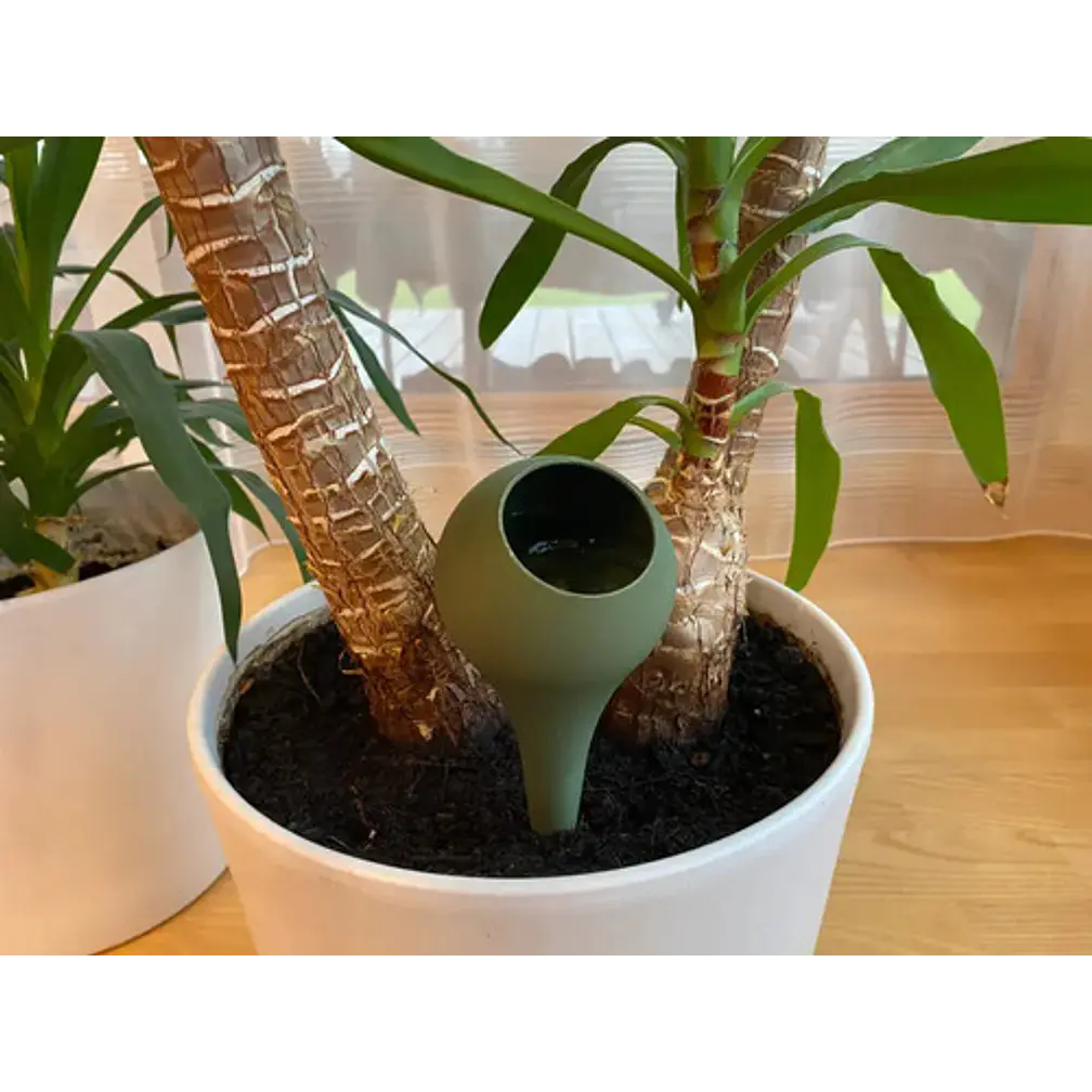 Globo De Riego Para Plantas 2