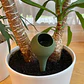 Globo De Riego Para Plantas - Miniatura 2