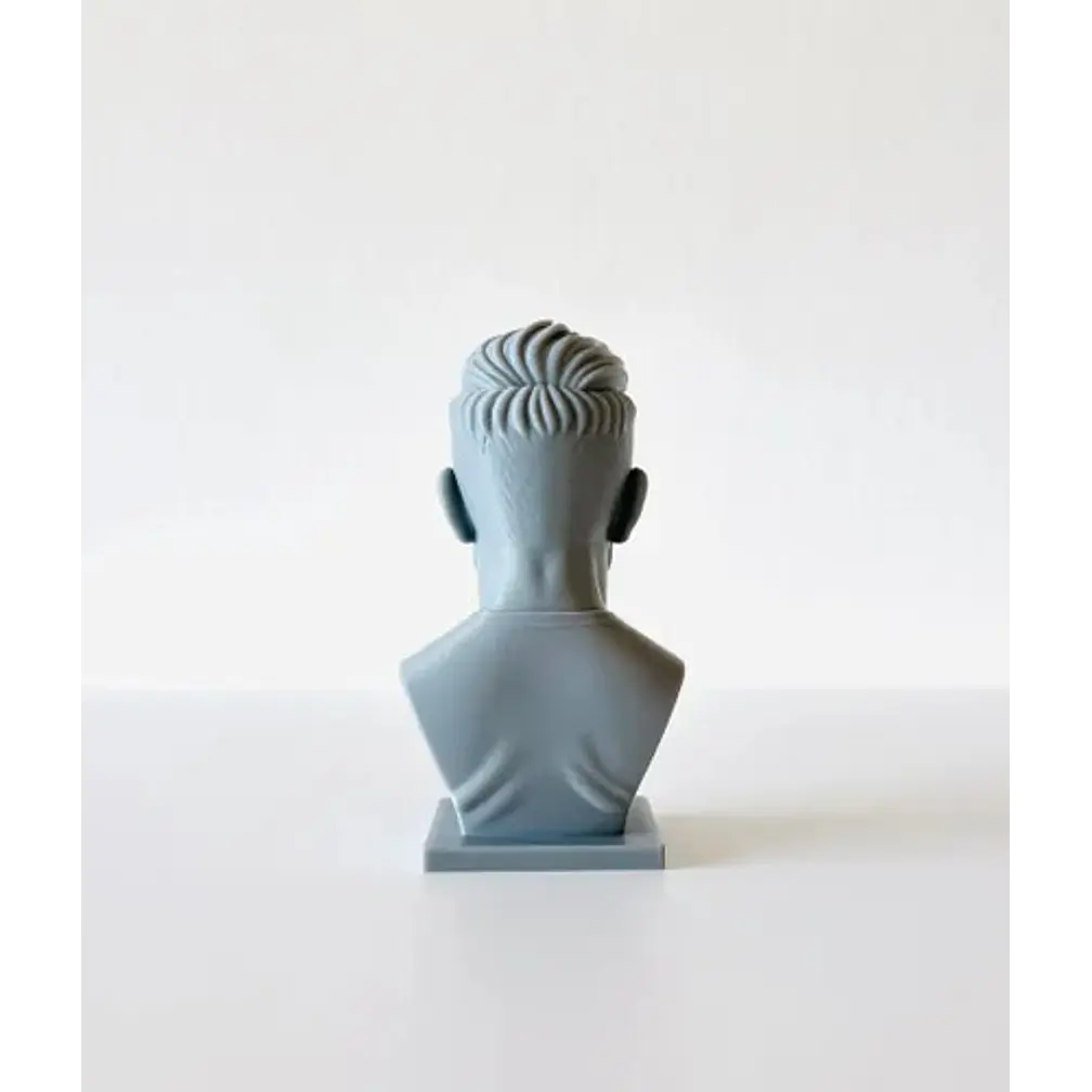 Escultura Decorativa Prints Patro- Busto David Beckham 3