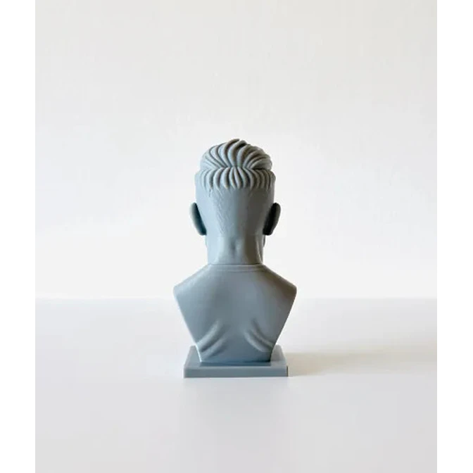 Escultura Decorativa Prints Patro- Busto David Beckham 3