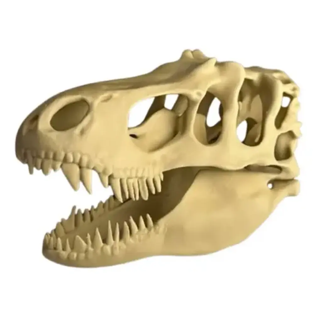 Escultura Decorativa- Cabeza De T-rex 1